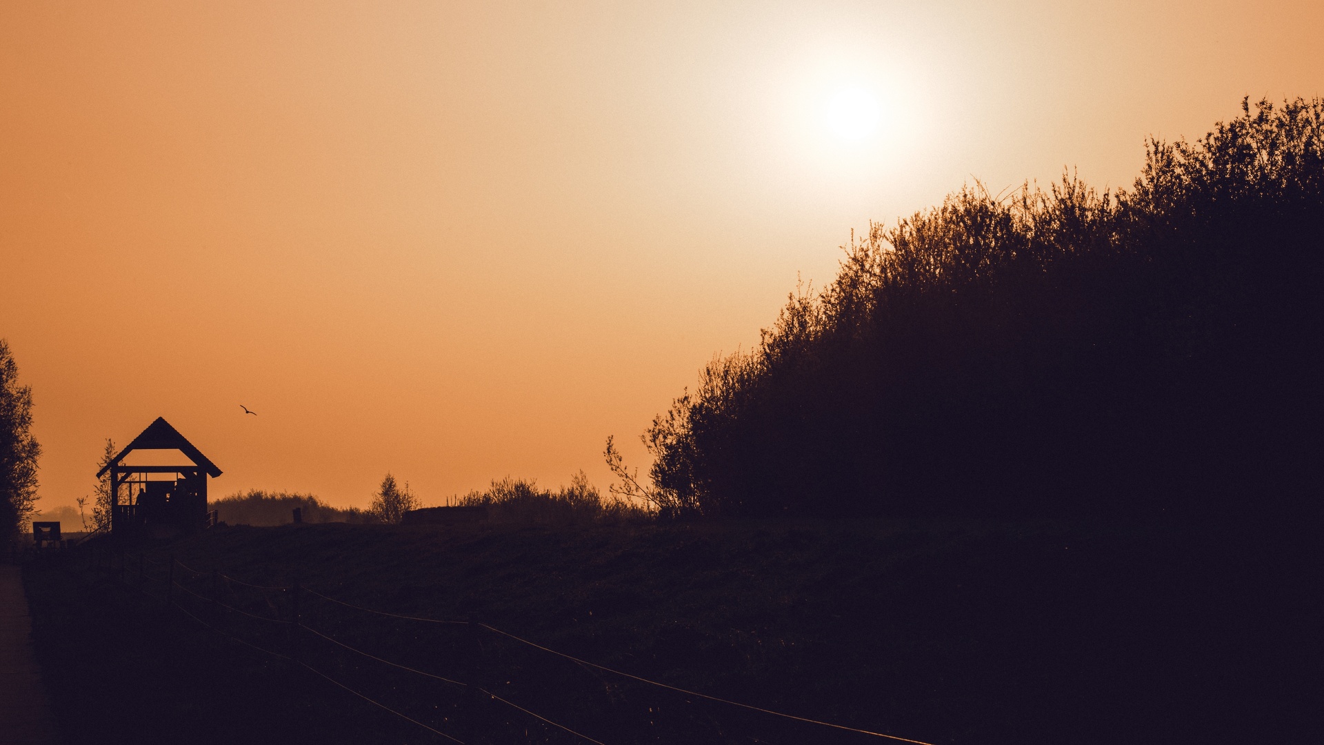 Coucher de soleil en campagne - orange.jpg