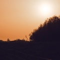 Coucher de soleil en campagne - orange