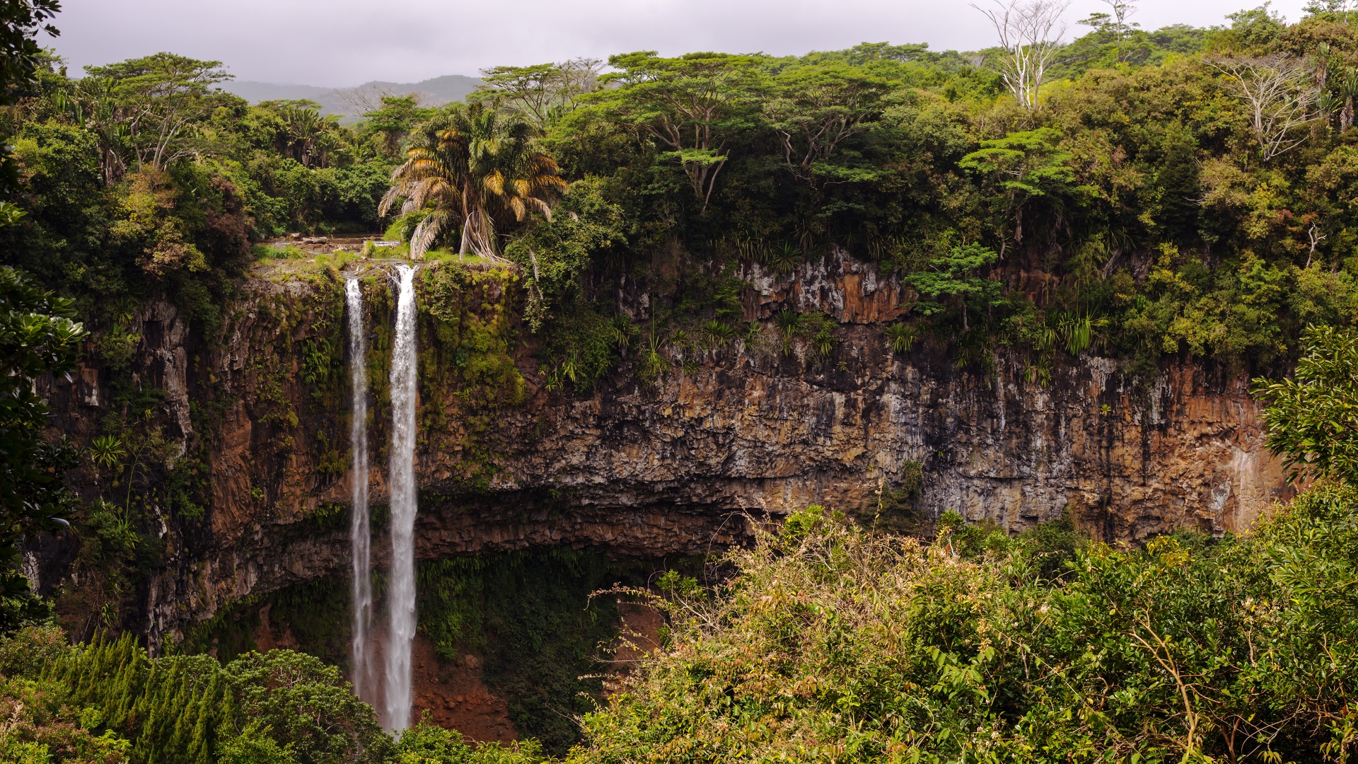 Cascade forêt tropicale - Ile de la Réunion.jpg