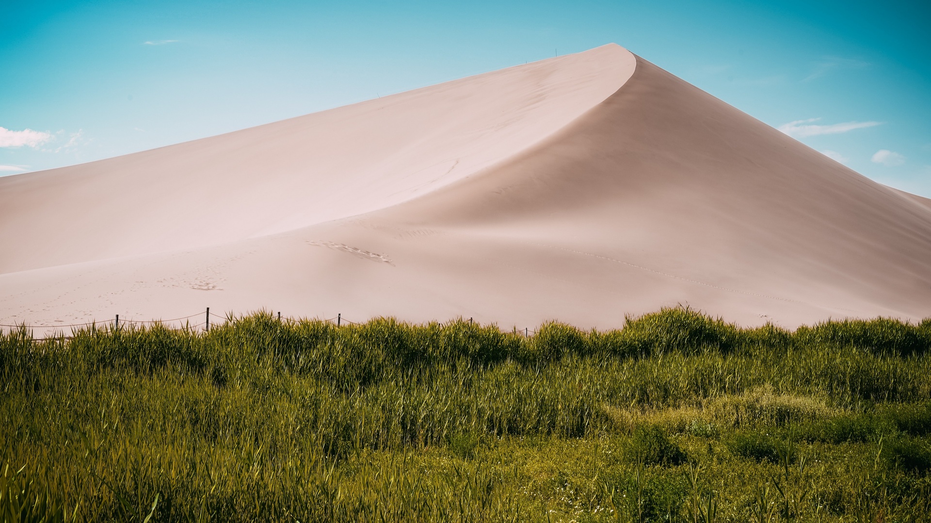 Dune de sable en bordure de champ.jpg