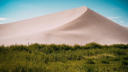Dune de sable en bordure de champ