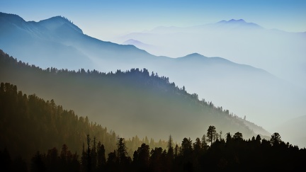 Montagnes sortant de la brume - forêt