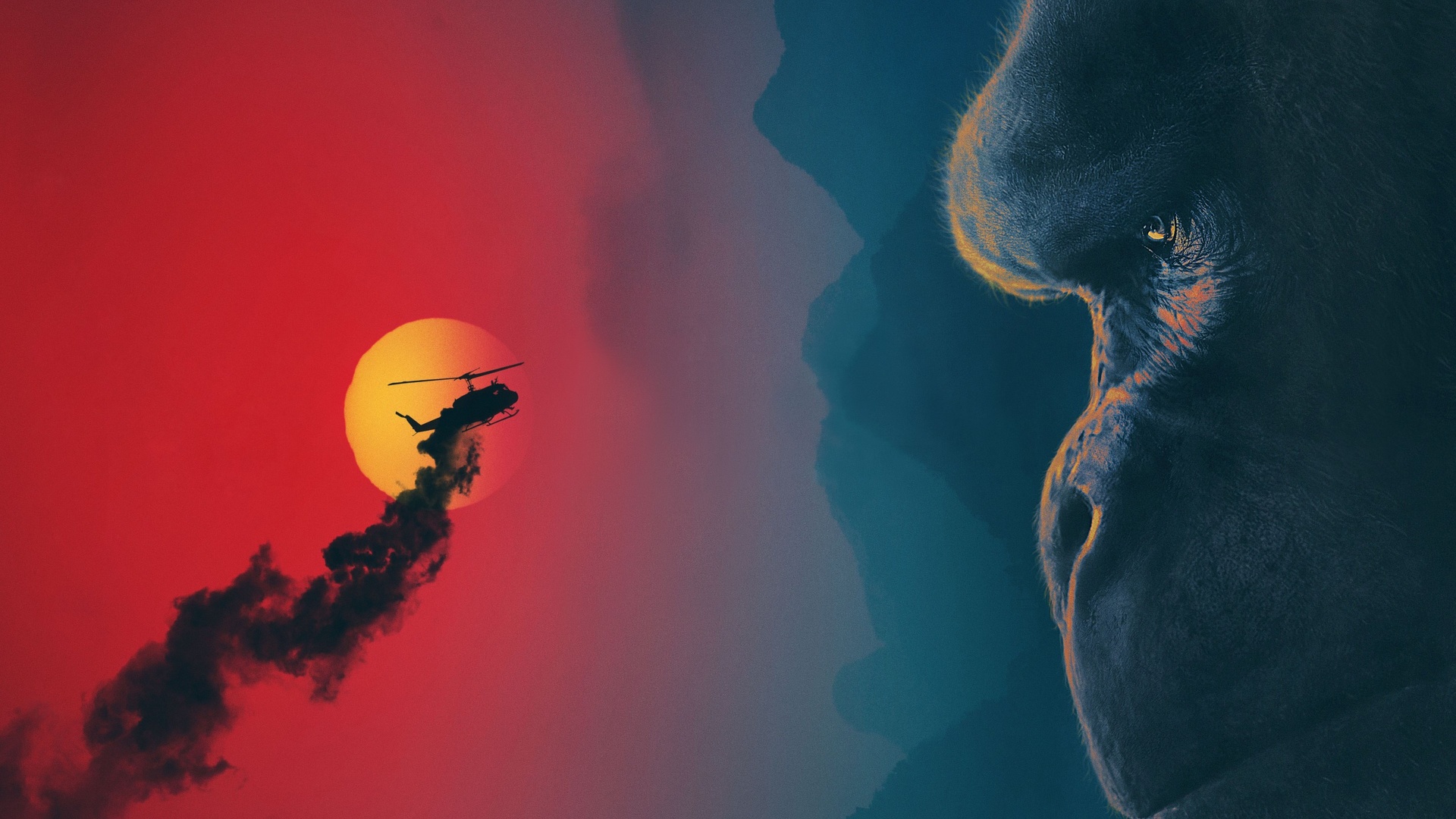 Kong - fond d'écran.jpg