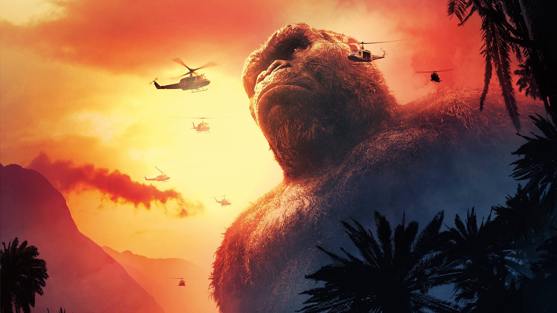 Le roi Kong  - Cinéma.jpg