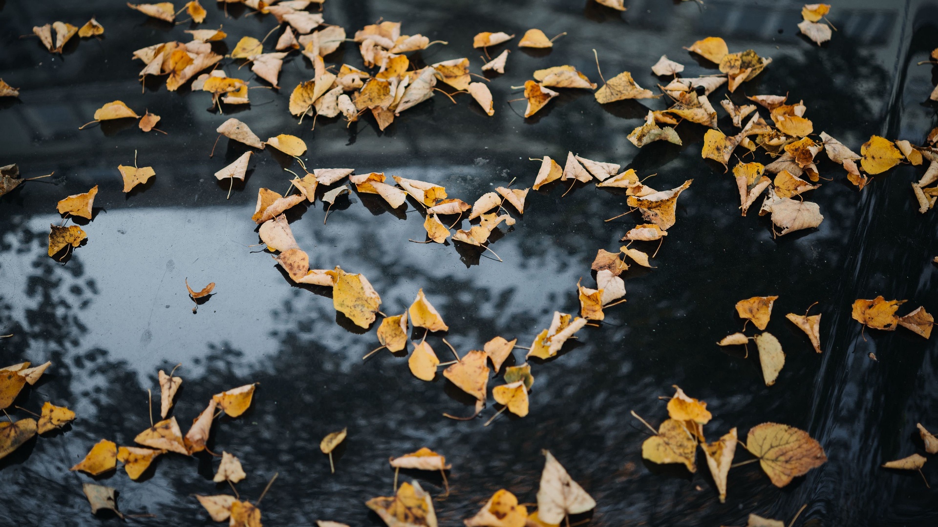 Feuilles automne formant un coeur.jpg