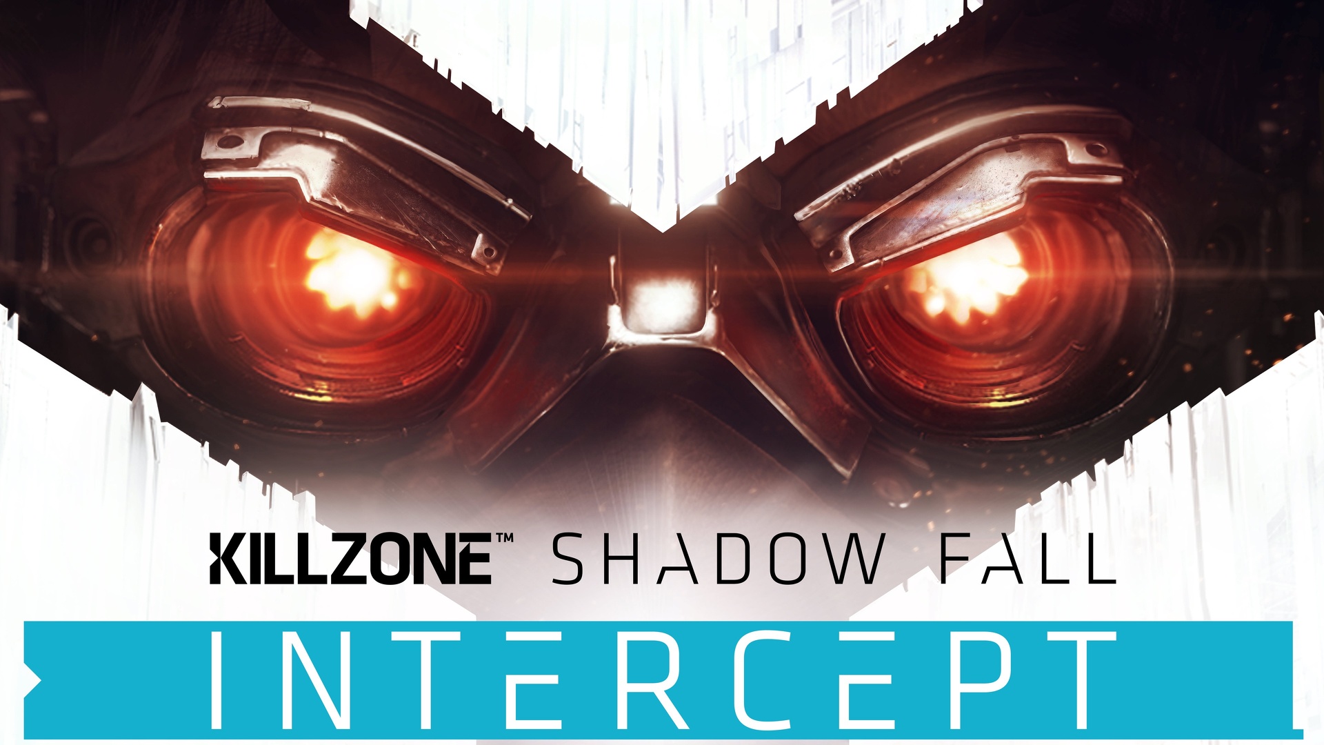 KillZone - Shadow Fall - Intercept.jpg