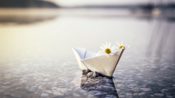 Bateau en papier - photographie artistique