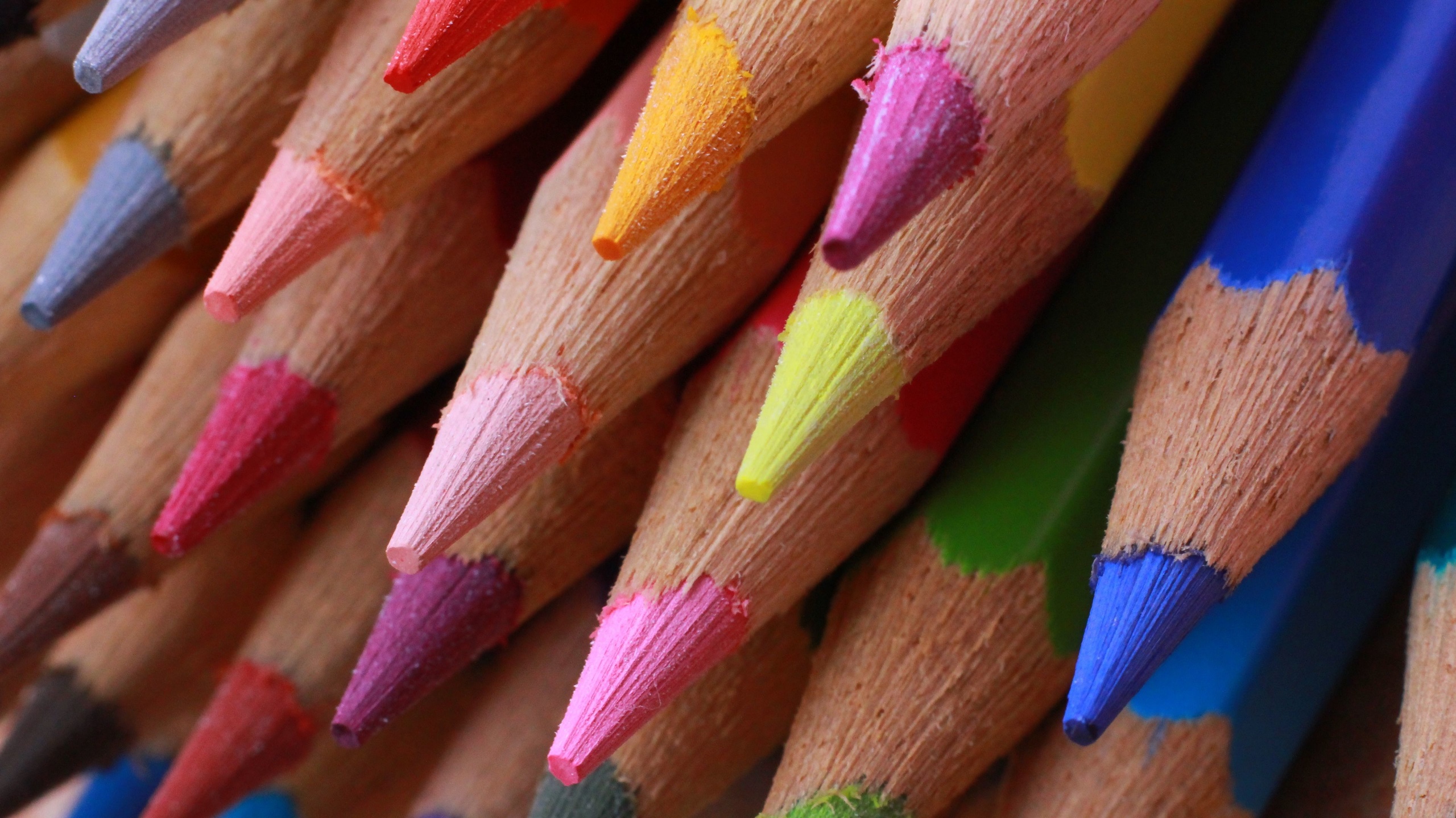 Crayon de couleur - gros plan