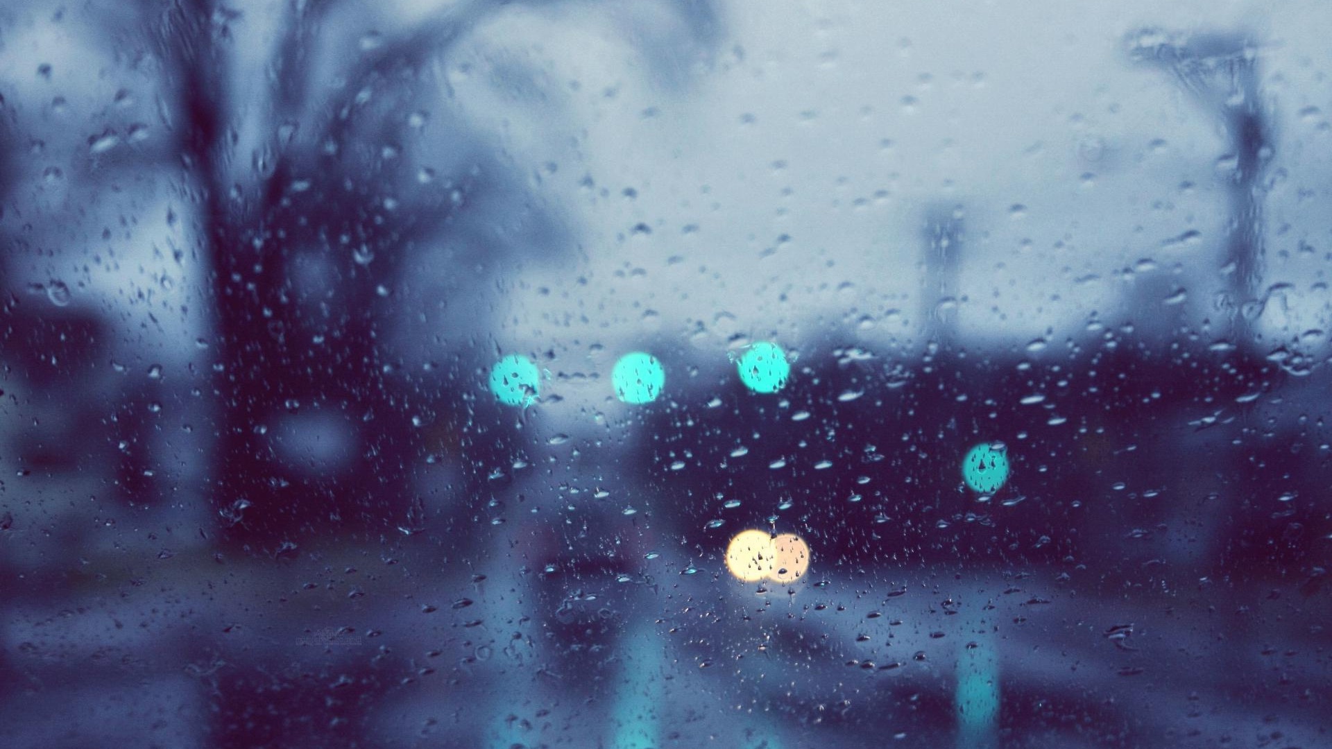 Gouttes de pluie sur une vitre.jpg