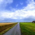 Route en bordure de champ de blé