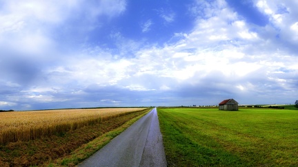 Route en bordure de champ de blé