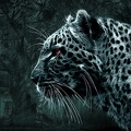 Art design  - leopard