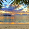 Coucher de soleil - plage tropicale