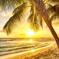 Coucher de soleil plage tropicale