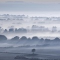 Plaine - Paysage sous la brume