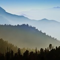 Montagnes sortant de la brume - forêt