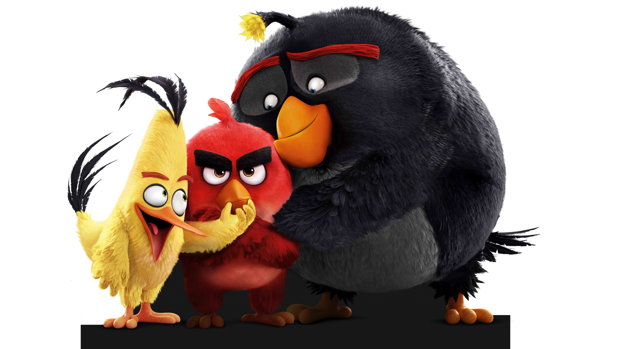 Angry birds (2)