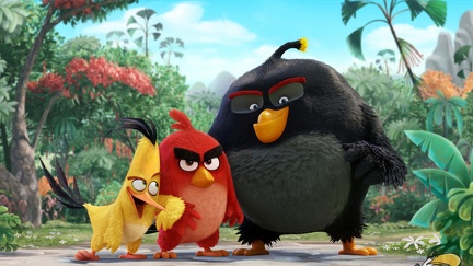 Angry birds (3)