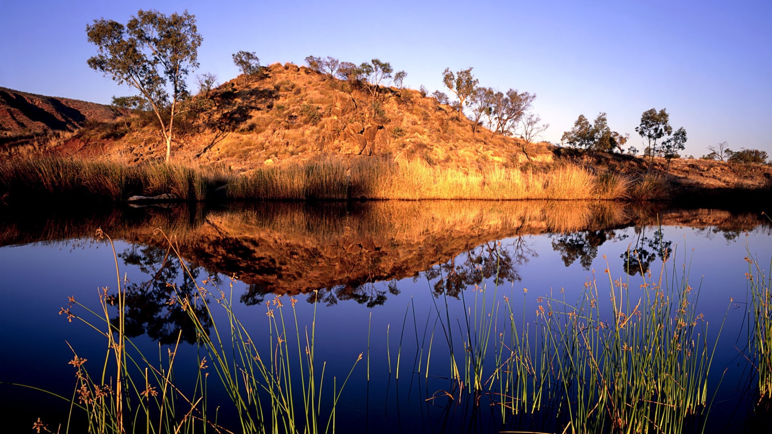 Крупные реки и озера австралийского. Озеро Гунгер Австралия. Муррей в Австралии. Река Муррей. Аустралия озеро Муррей.