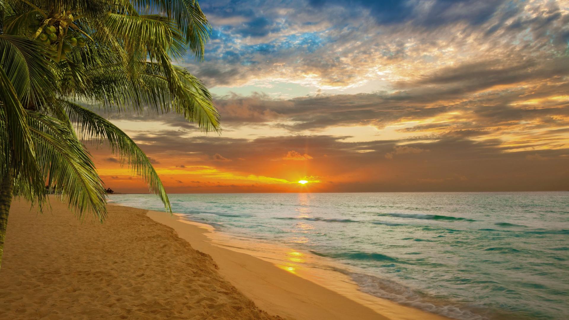 T l charger Le Fond D cran Plage Tropicale Coucher De Soleil 1920x1080 T l charger Le Fond D cran Plage Tropicale Coucher De Soleil 1920x1080