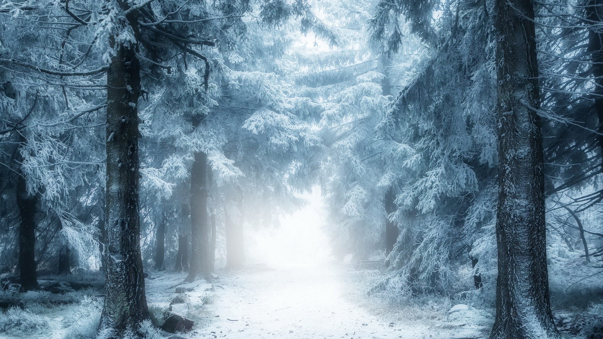 Chemin mysterieux dans la neige