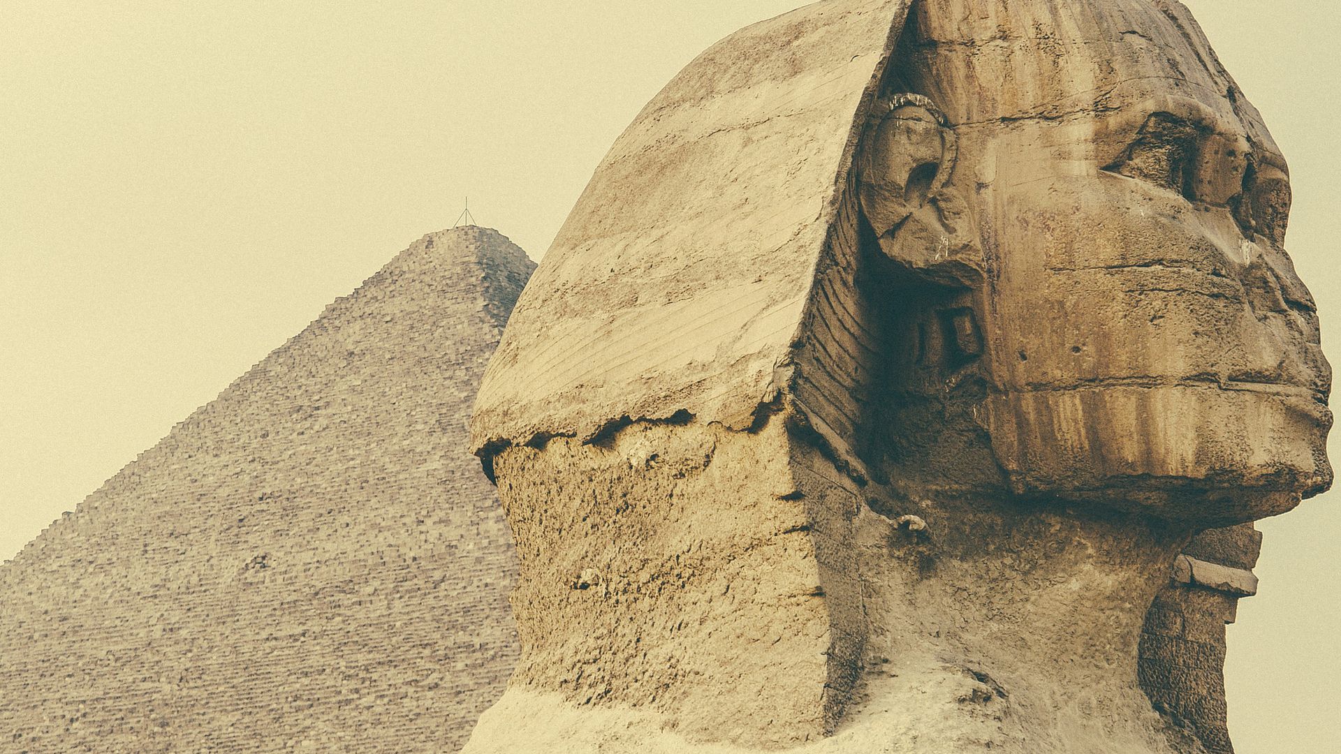 Tête du Sphinx.jpg