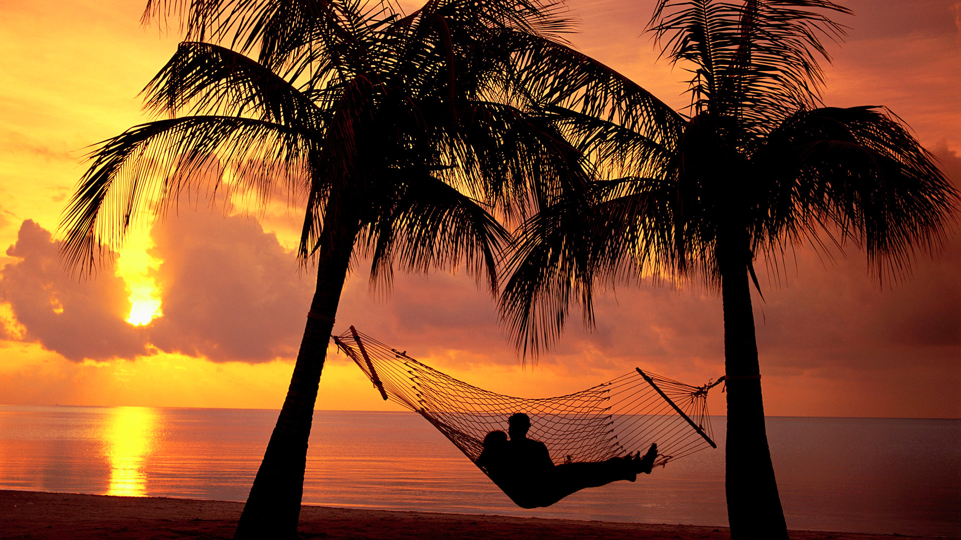 Couple hamac - plage coucher de soleil.jpg