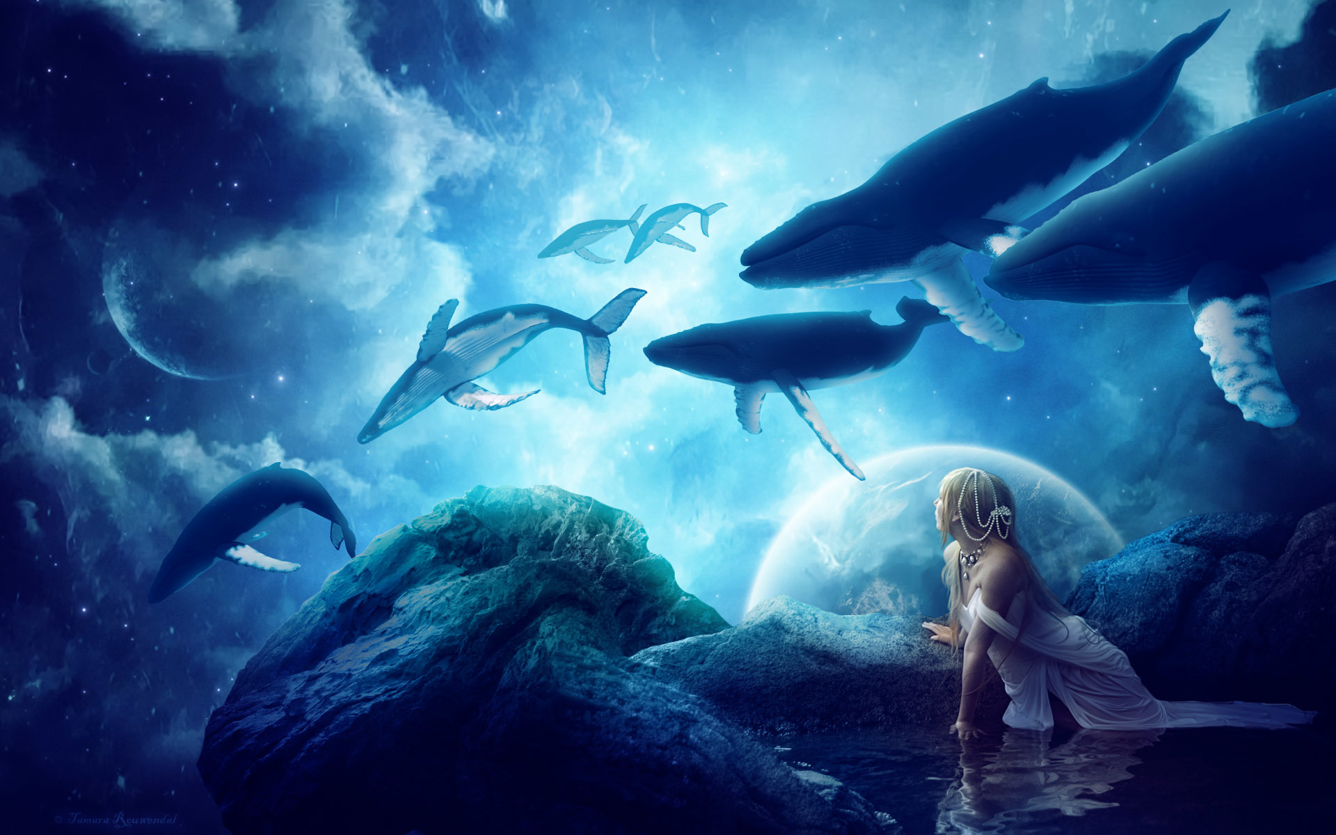 Dream blue - whales - creation