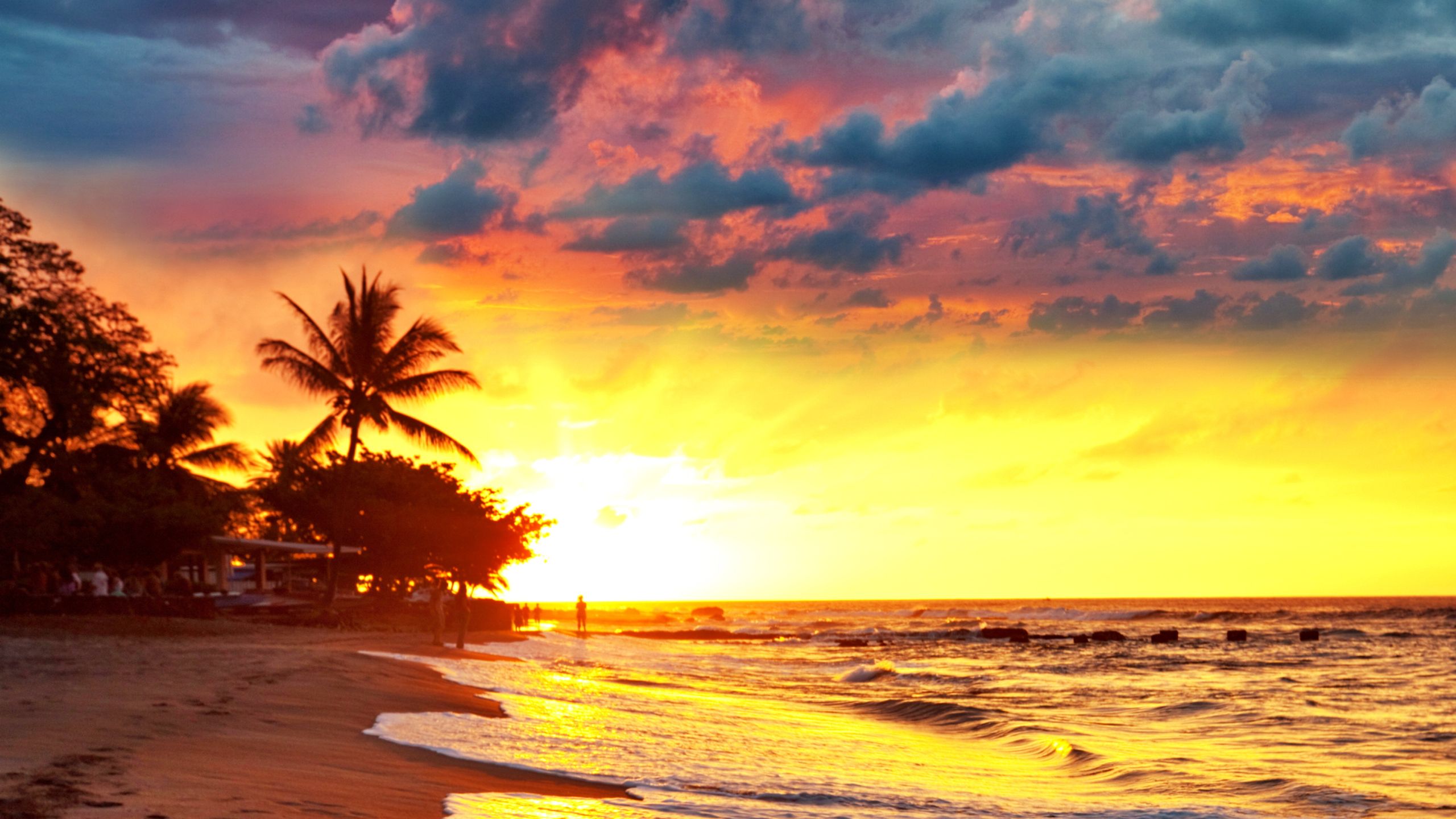 Tropical beach - sunset