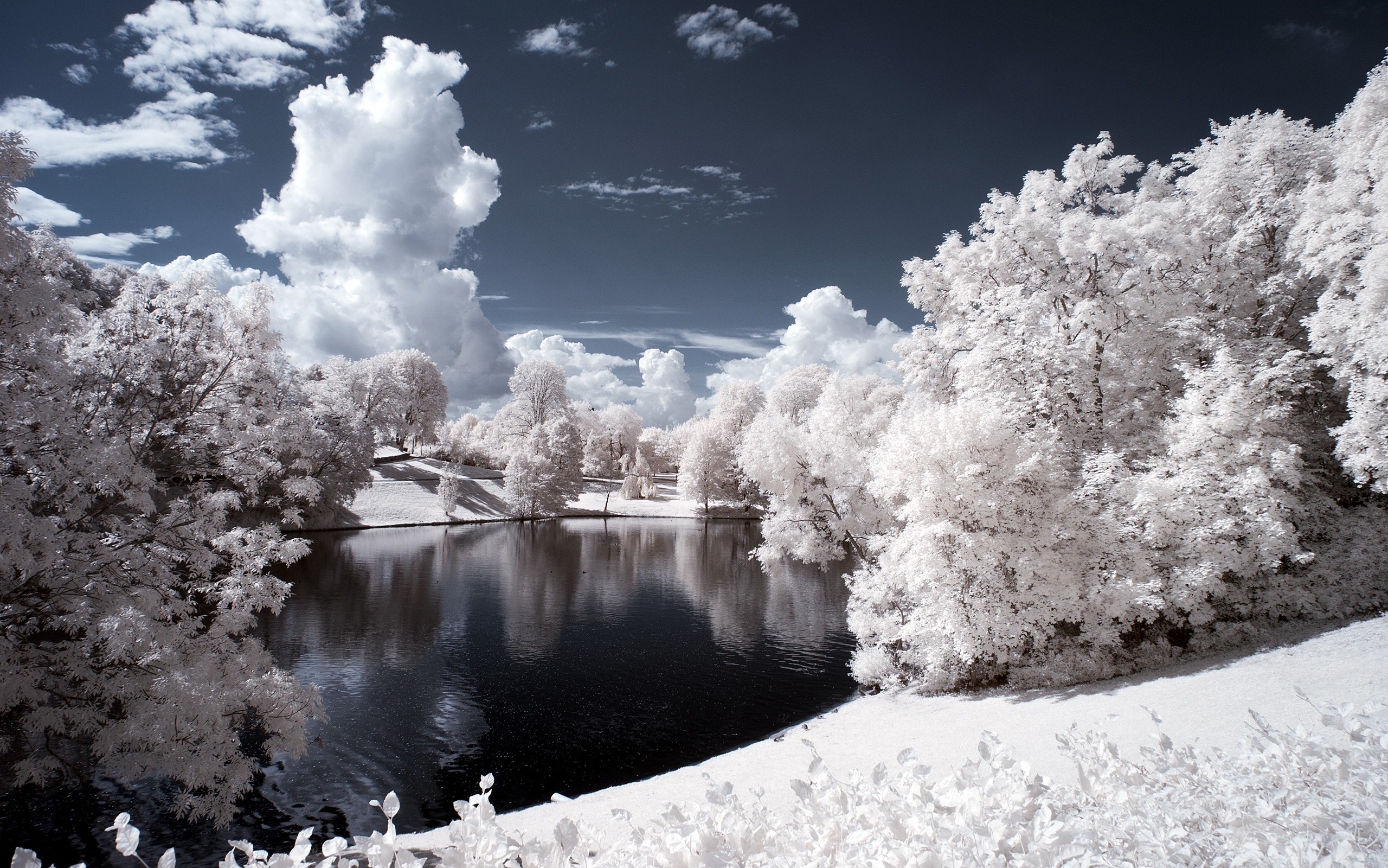 Superbe paysage hivernal - wallpaper HD.jpg