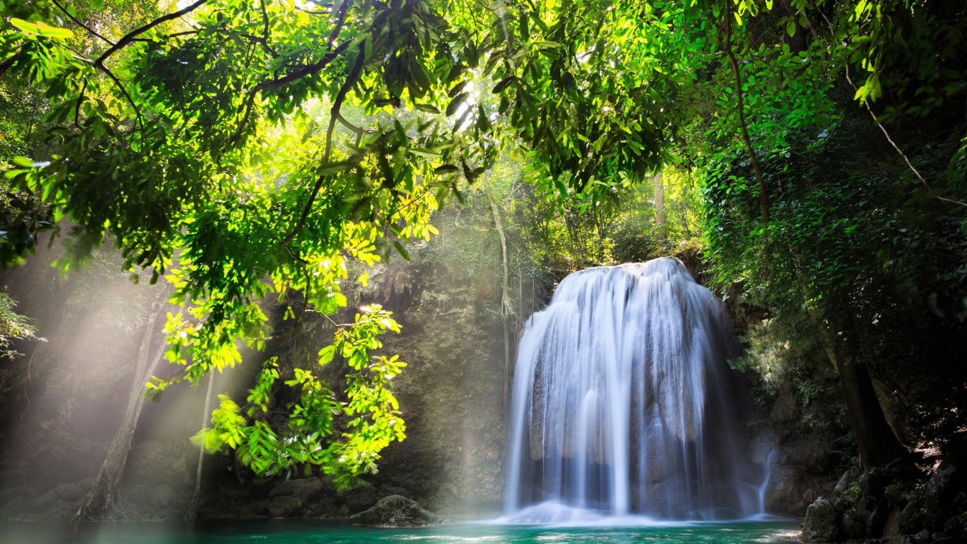 Tropical spring - waterfall