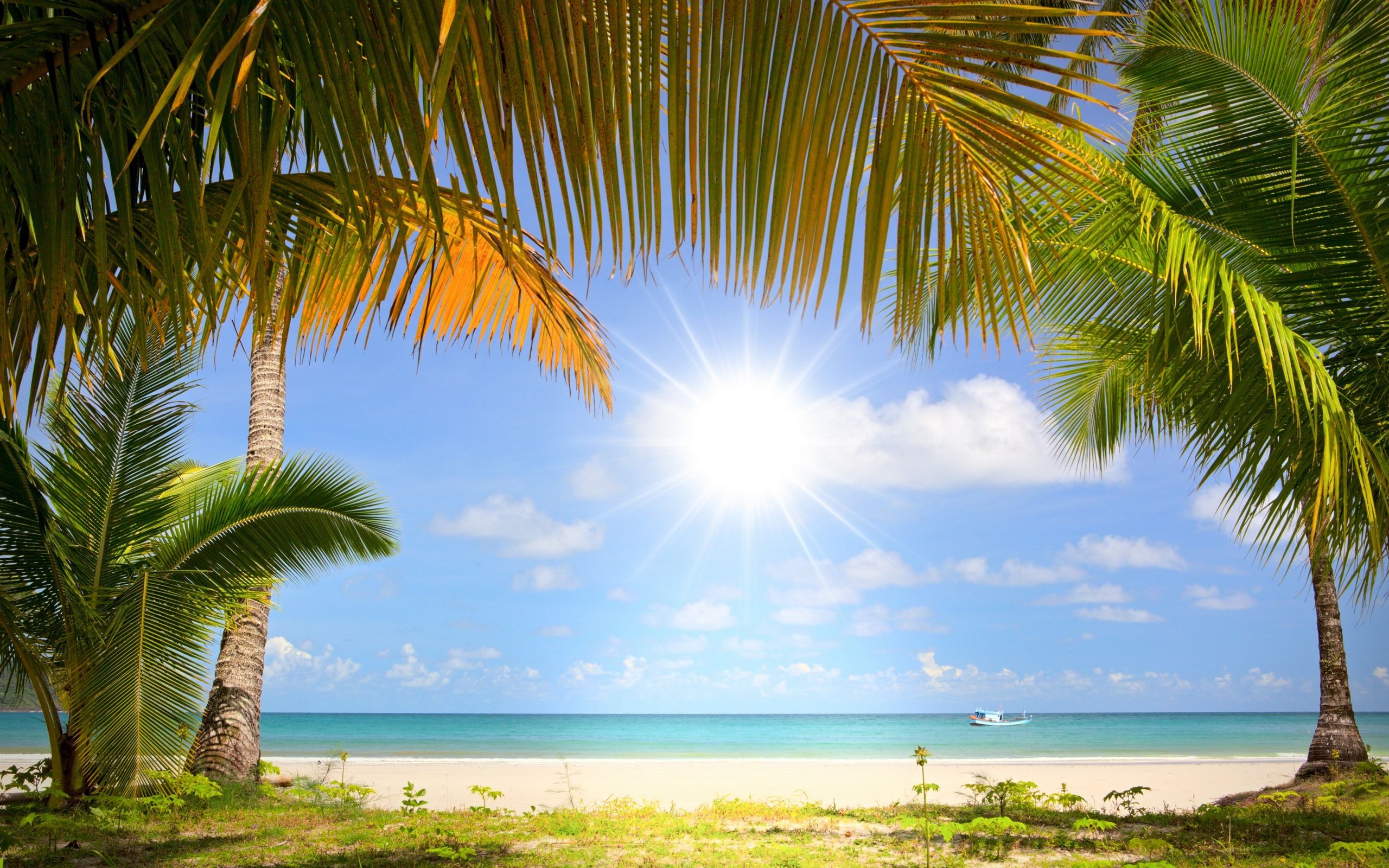Fond Ecran Lit Sur La Plage Wallpaper