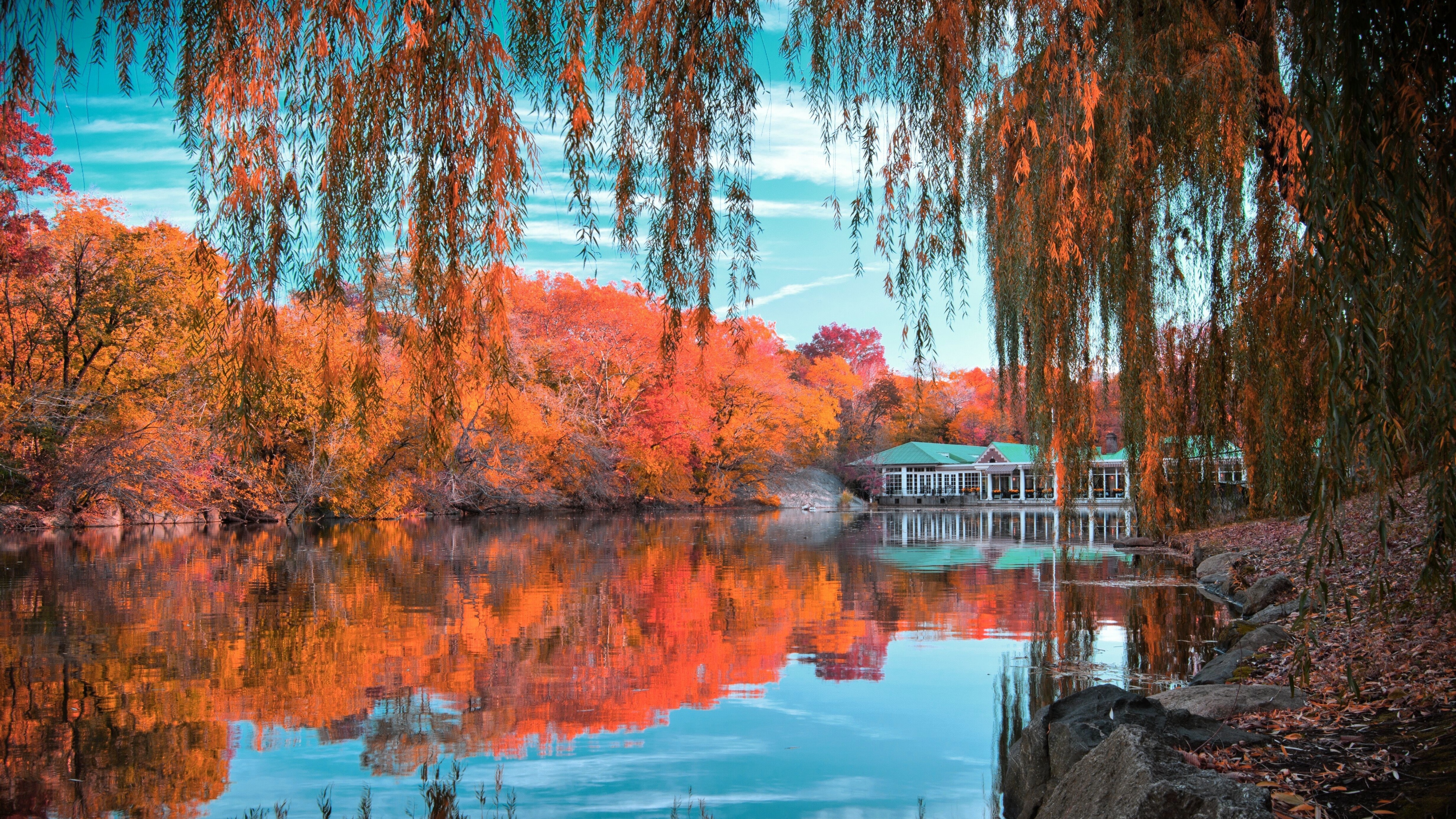 Lac à central parc - New York.jpg